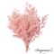 Uniquewise Preserved Real Floral Stems Chic Vase Fillers & Accents for Bouquets Centerpieces & Ornamental Displays Ideal for Home Office Boutique Cafe Resto Bar and Event Decor